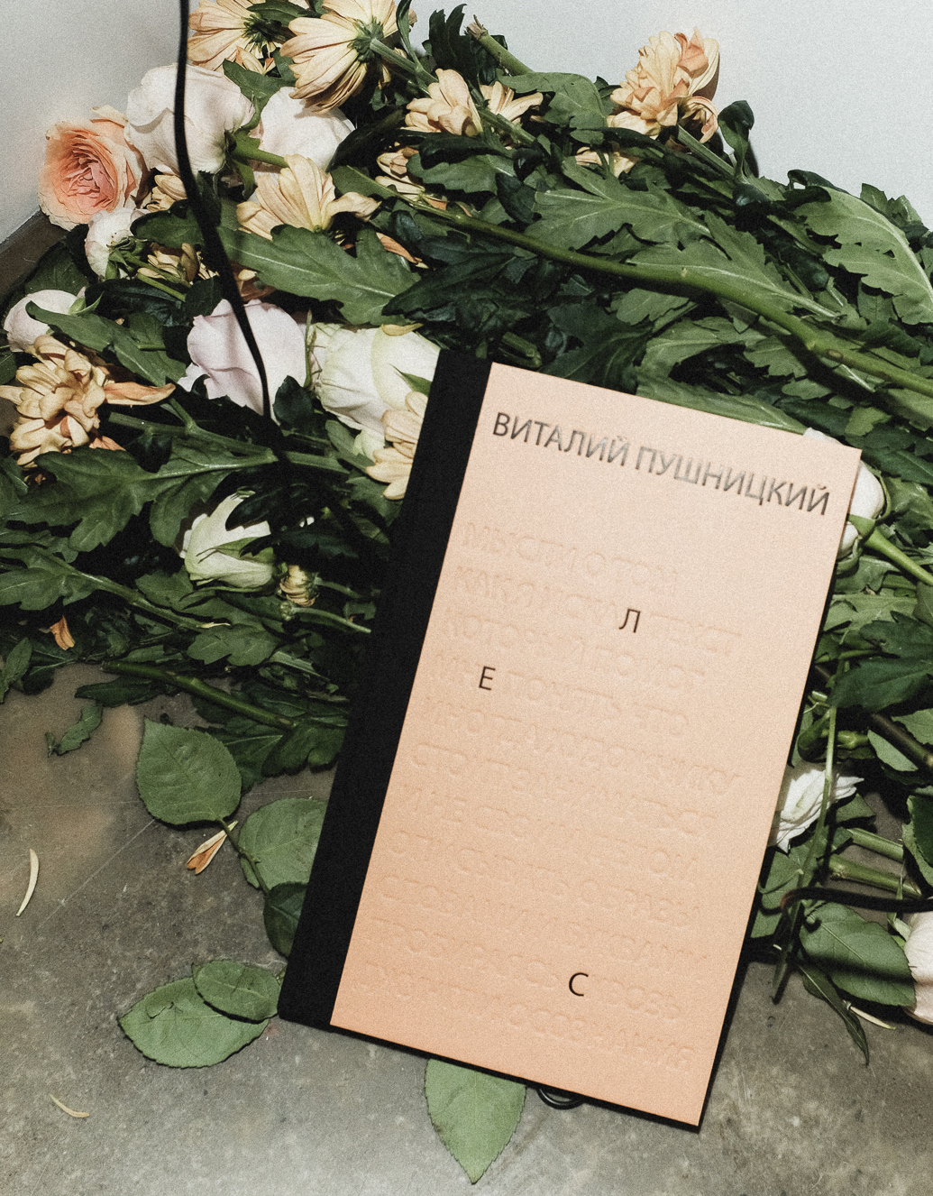 text 2 and portrait